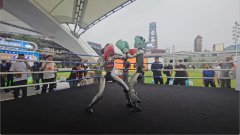发银行展台引入了
